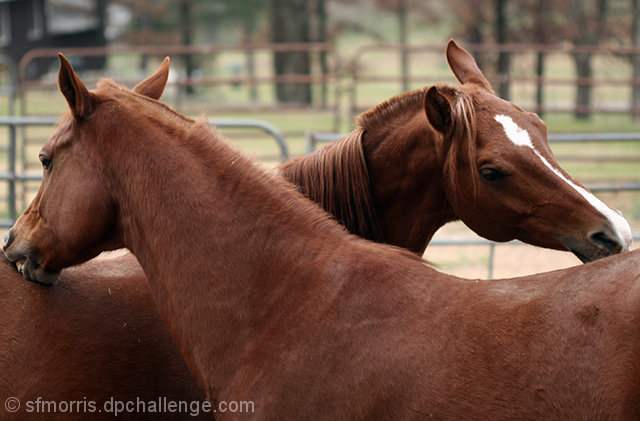 If you scratch my back I'll scratch yours