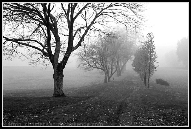 Where the Path Meets the Fog