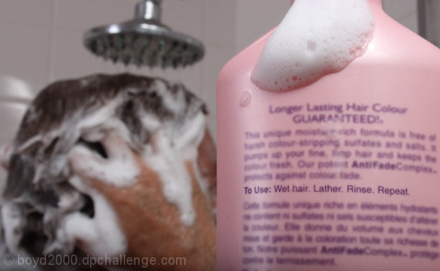 Stuck in an infinite "Lather, Rinse, Repeat" loop