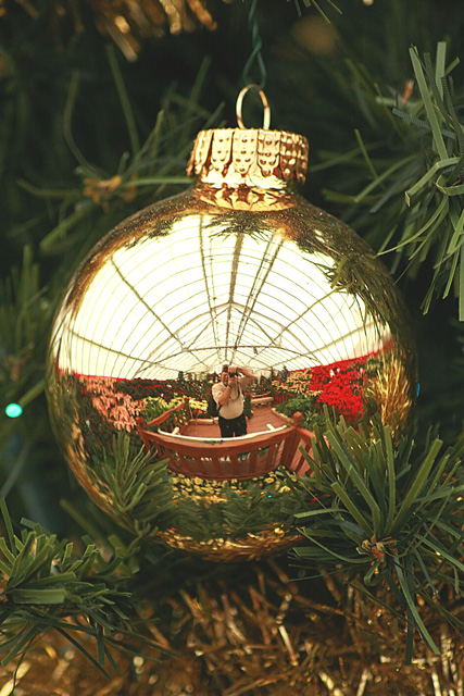 A Christmas Ornaments view of Christmas  