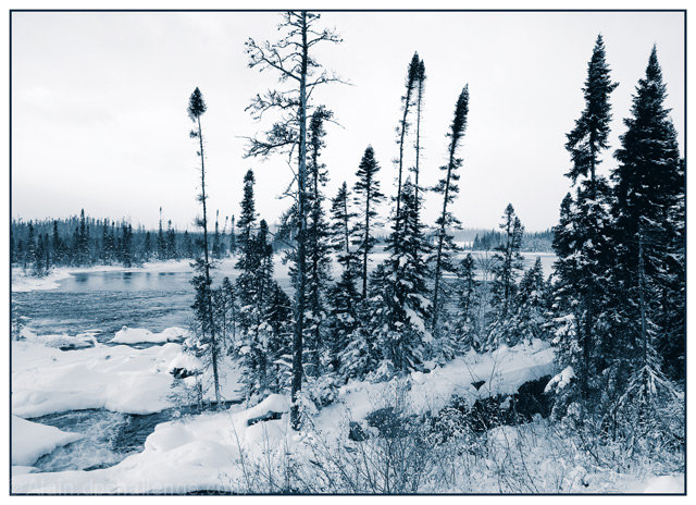 Winter Blues