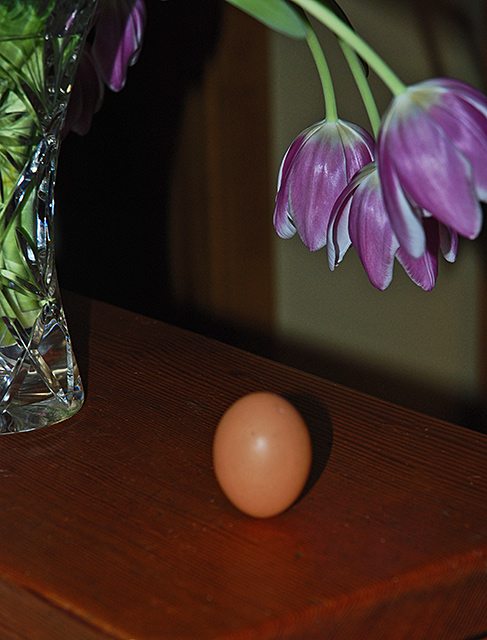 22/12/07, When Sostice and Full Moon Occur Together, an Egg will stand on its End