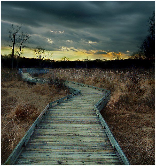 Boardwalk on a December Afternoon