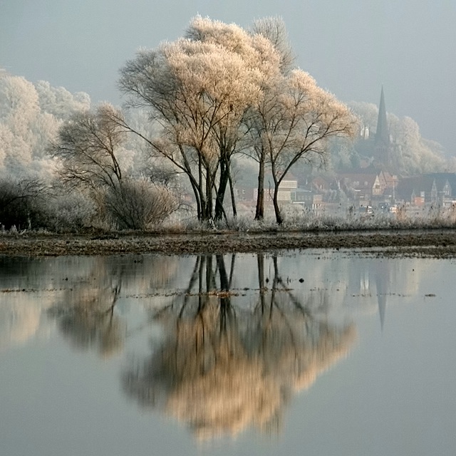 Winter Reflections - Lauenburg / Elbe (Germany)
