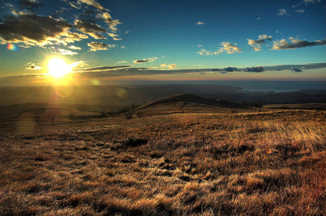 Endless dry meadows