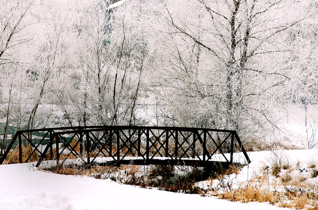 Foot Bridge