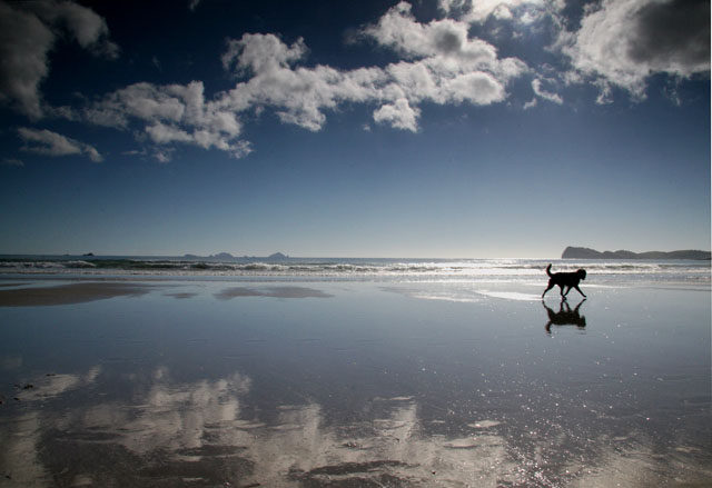 New years Eve, Pauanui, Coromandel Peninsula, New Zealand