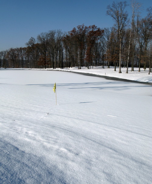 Minus "FORE"