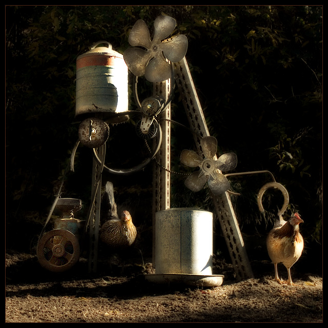 Wind-Powered Automatic Chicken Feeder 