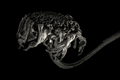 Memento Mori