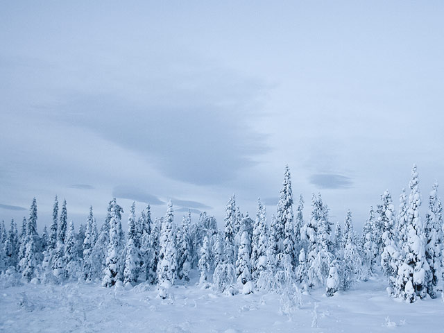 Chilly Loneliness at the Arctic Circle