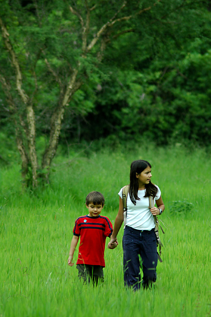 A Walk in the Pasture