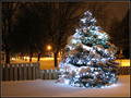 It's beginning to look a lot like...