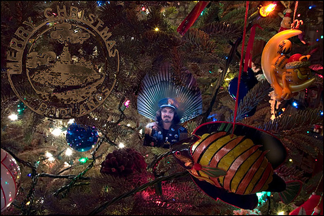 Sev's Christmas Ornament