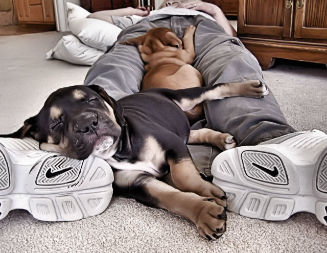 Nike Nap