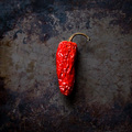 Hot Pepper