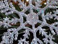 Christmas Sparkles