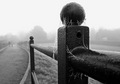 winter frosts