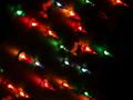 Christmass lights