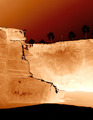 Seaside Cliff- La Jolla CA