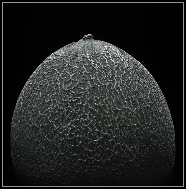 gibbous cucumis melo