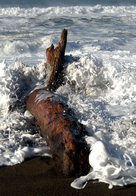 Dancing with the Surf