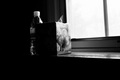 box and bottle