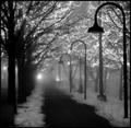 Sidewalk Lights on a Foggy Night