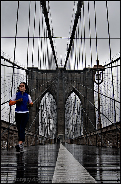 The Brooklyn Bridge