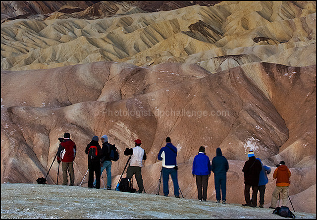 The Photographers