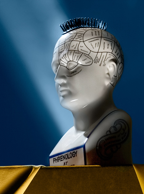 Phrenology Head with Hair Brush