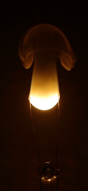 Fire Mushroom