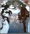 Ice on Ten Mile Creek