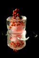 Captured In Ice