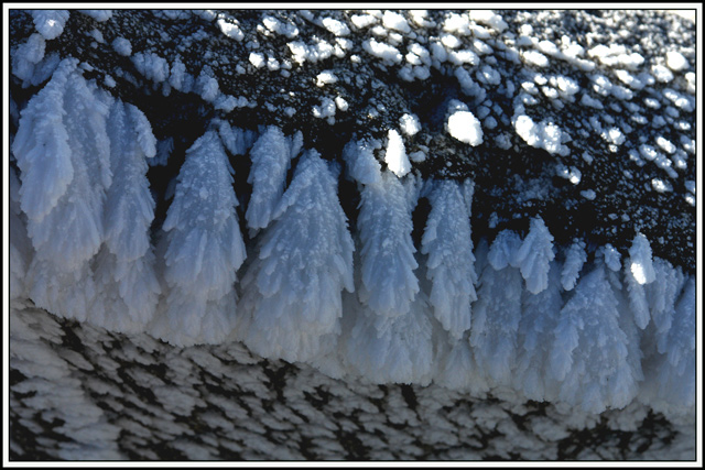 sculpture on ice