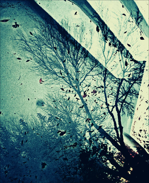 Frozen Fall