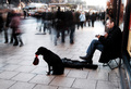 Beggar Dog
