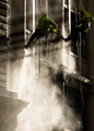 Jet Wash