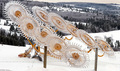 Ice Wheels