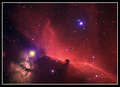 The Celestial Pony in Orion