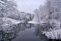 Winter On The Marsh