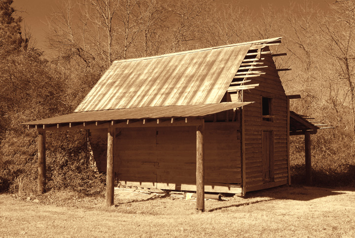 Forgotten storage shed