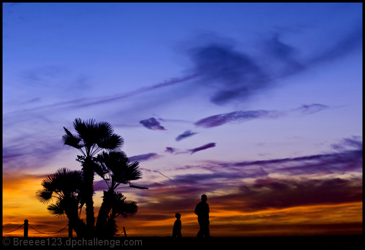 Evening Walk