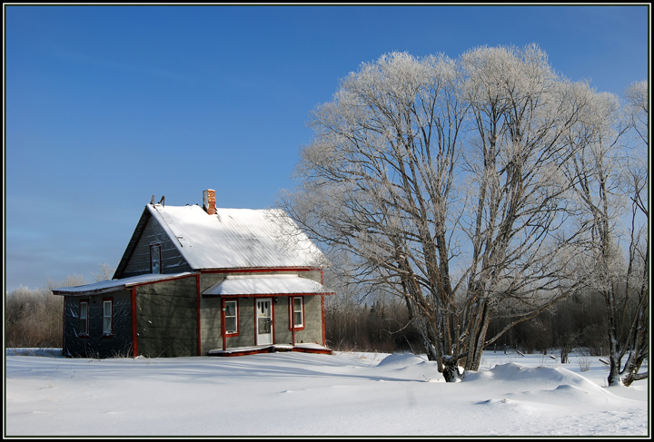 Alone in Winter