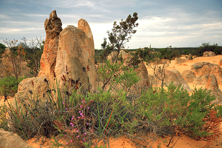 Pinnacles in the Desert