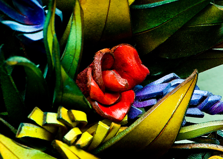 Macro Shapes, Colors and Textures