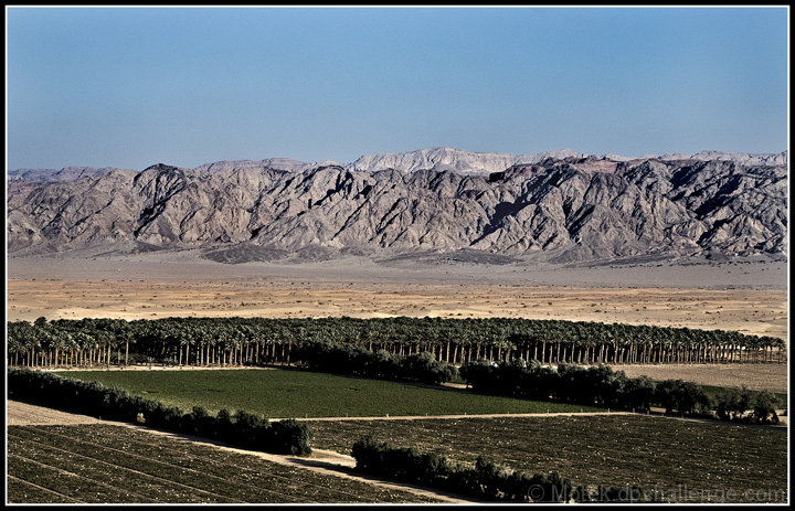 Desert farming