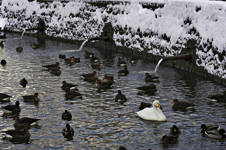 Alone in a crowd