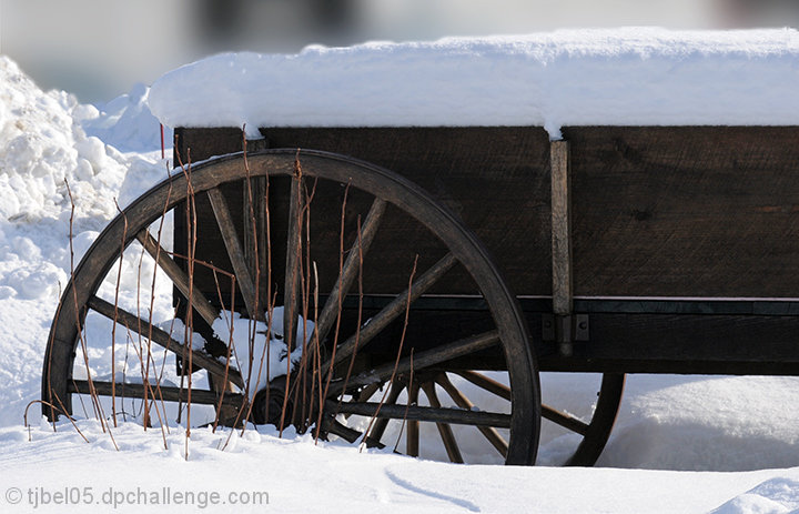 Antique transportation