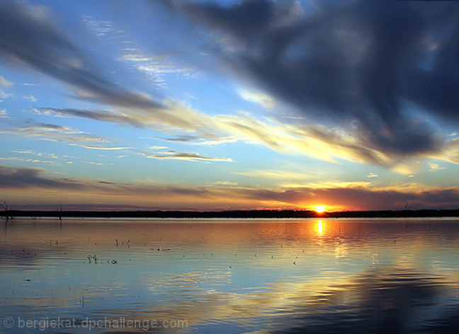 Nature's Palette
